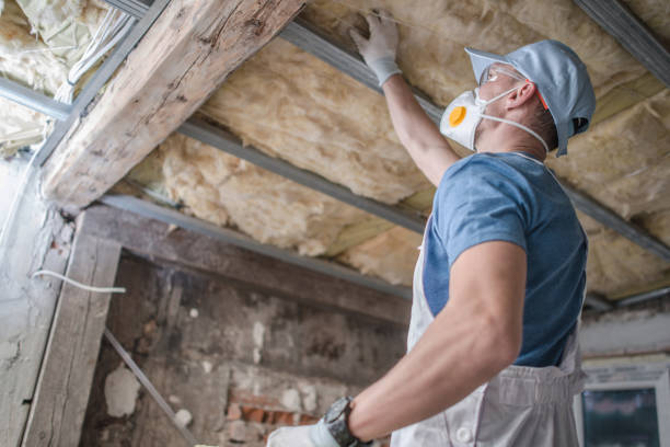 Best Cellulose Insulation in Walker, MI