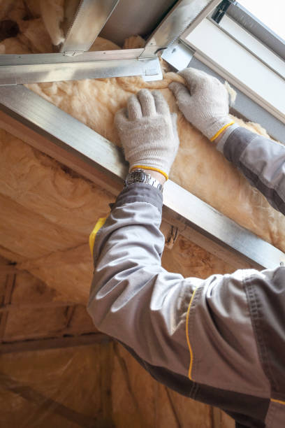 Best Geographic-Specific Insulation Services in Walker, MI