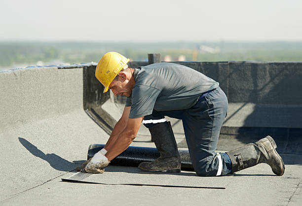 Best Insulation Maintenance and Repair in Walker, MI