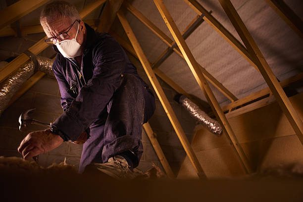 Best Residential Insulation in Walker, MI